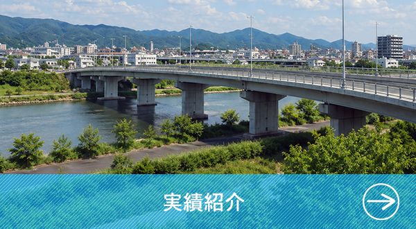 実績紹介